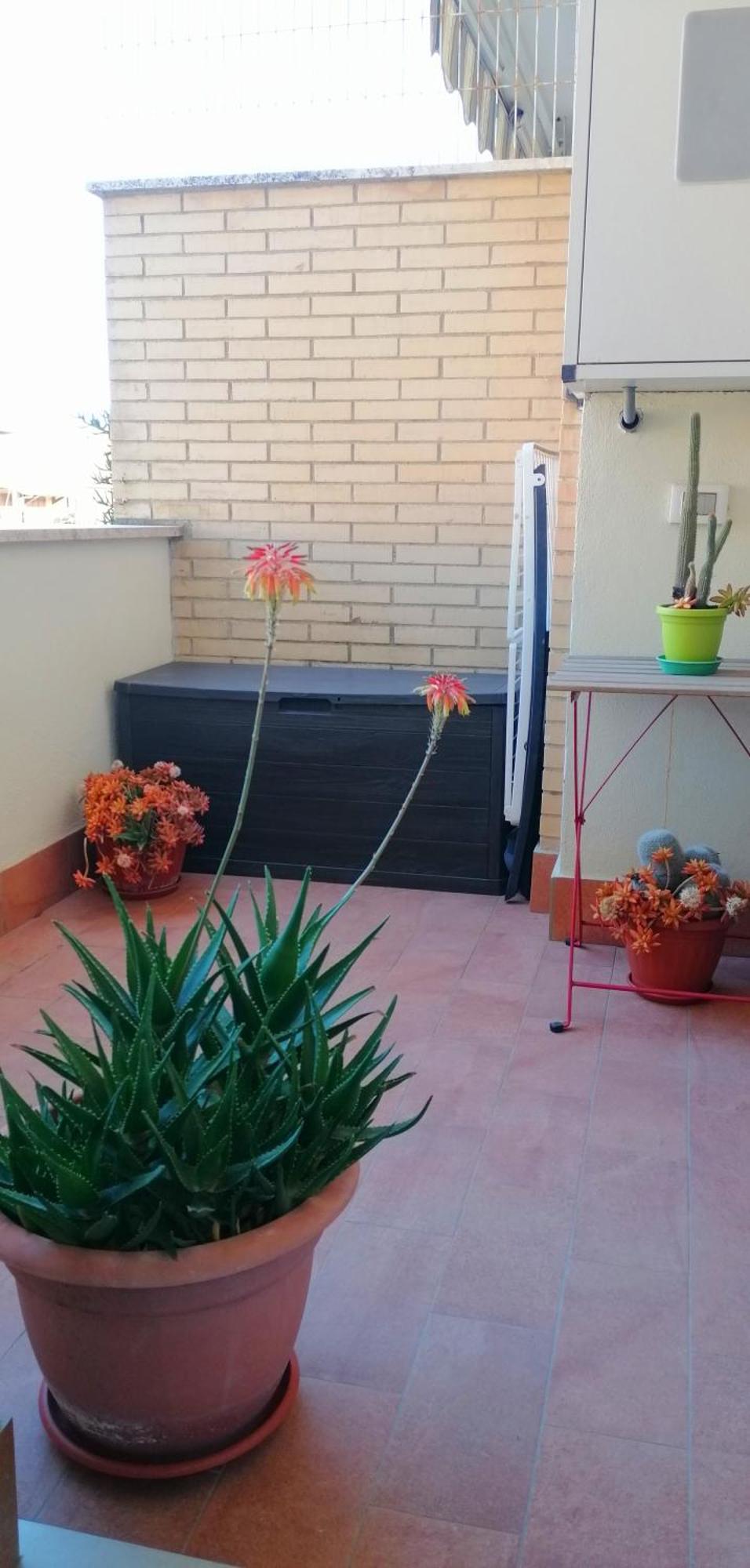 A Few Steps From The Sea Apartment Fiumicino Exterior foto